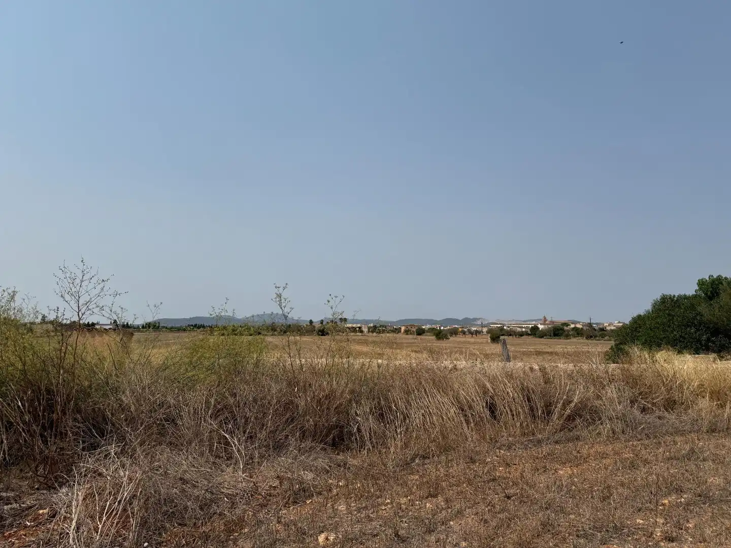 Grundstücke und Bauplätze zum Verkauf in Campos poble, imagen 5