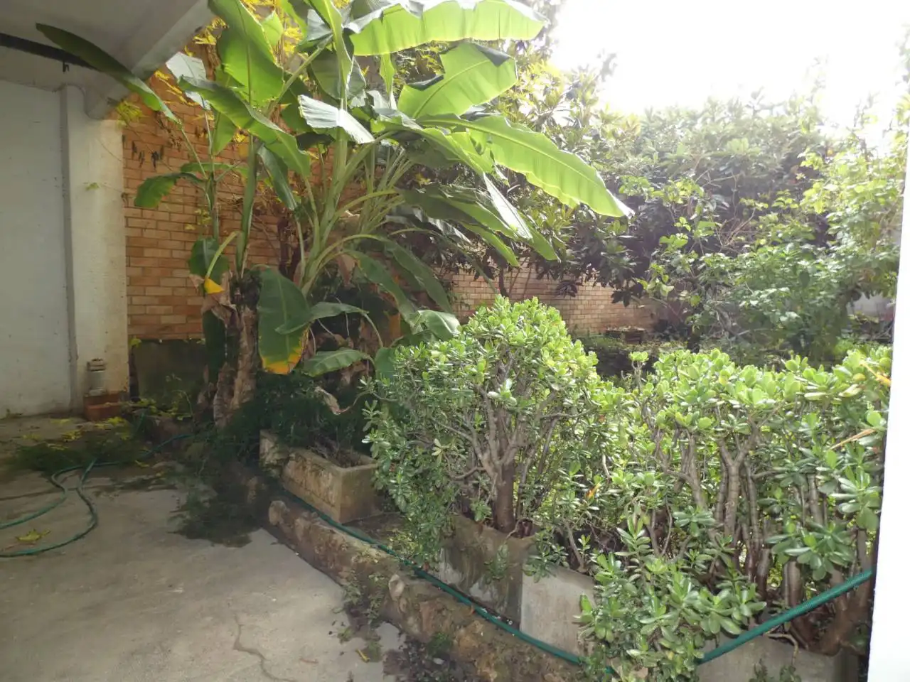 Local en venta en Calle Pius XII, Centre