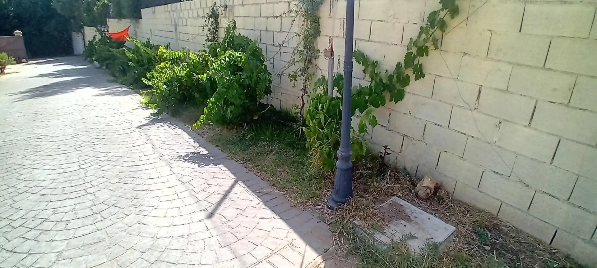 Casa o chalet en venta en San Roque Pueblo