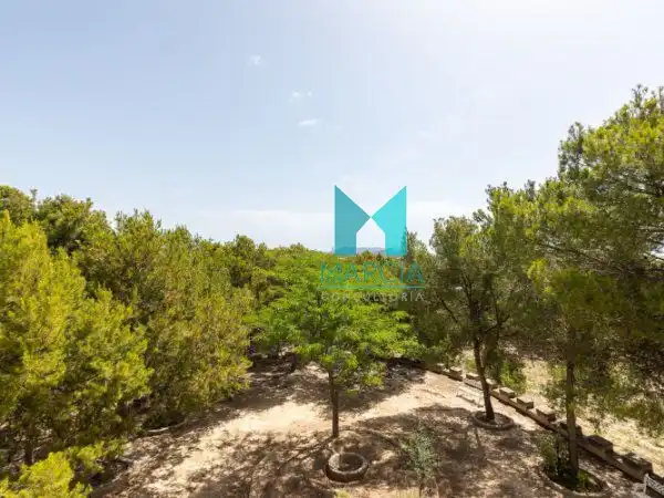 Country homes for sale in Centro Urbano