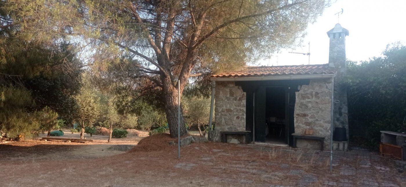 Jardí de Casa o xalet en venda en Malpartida de Cáceres