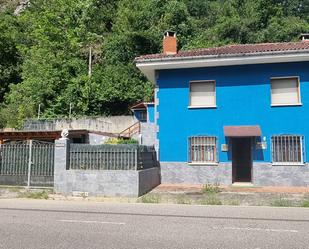 Vista exterior de Casa o xalet en venda en Amieva amb Calefacció, Jardí privat i Terrassa