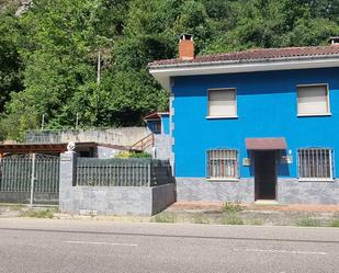 Vista exterior de Casa o xalet en venda en Amieva amb Terrassa