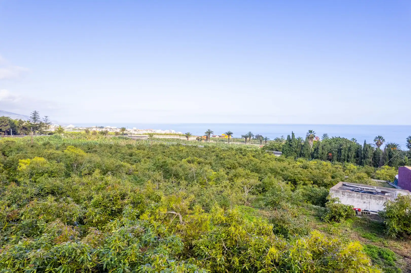 Land for sale in La Orotava