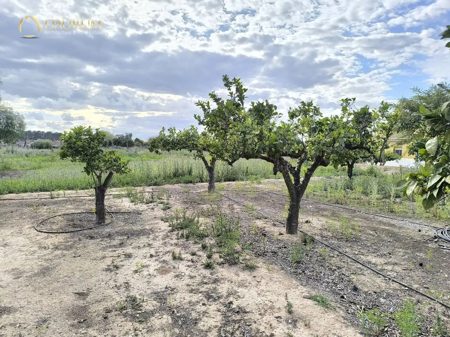 Casa o chalet en venta en Elche / Elx