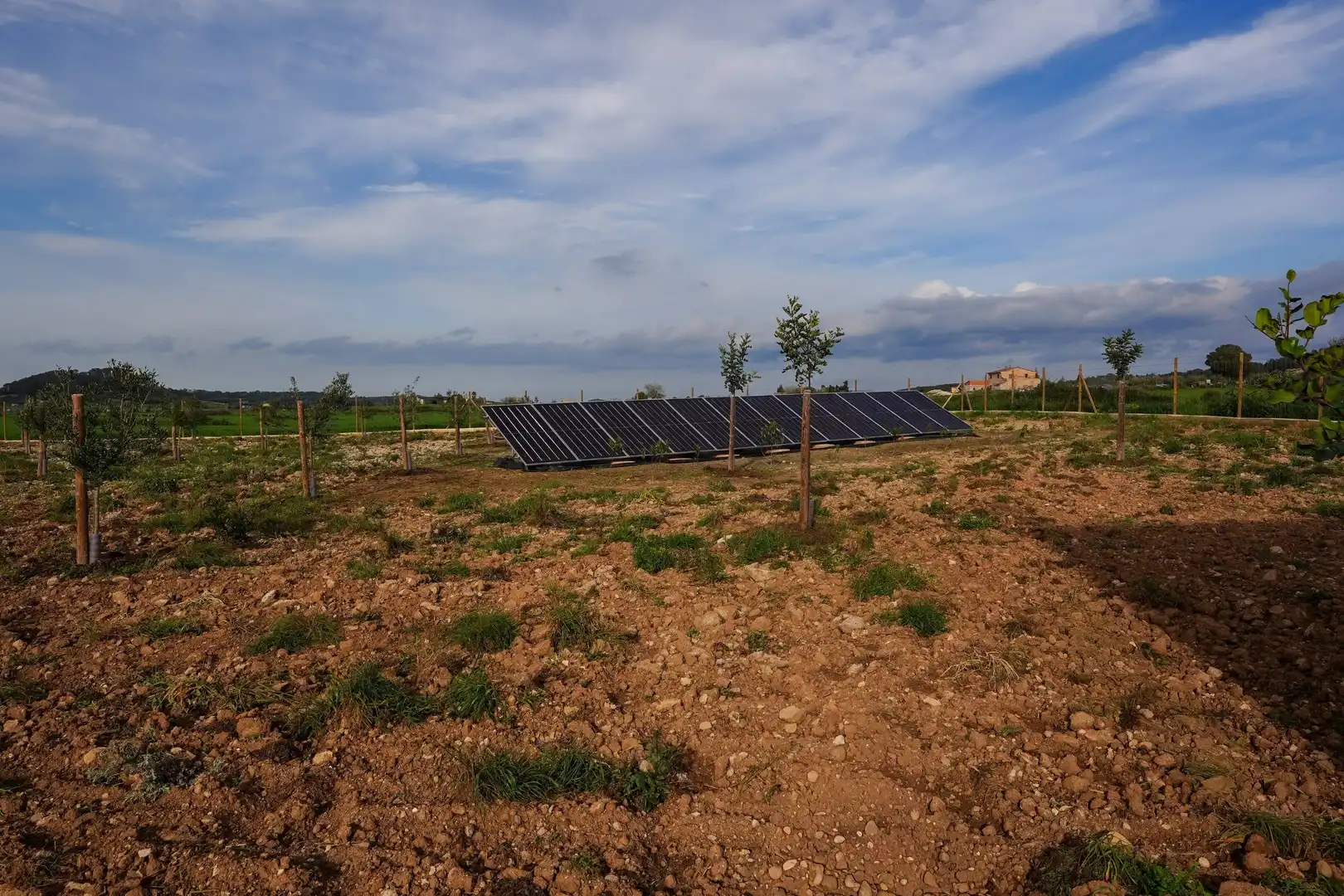 Jardí de Finca rústica en venda en Sineu amb Aire condicionat, Calefacció i Terrassa