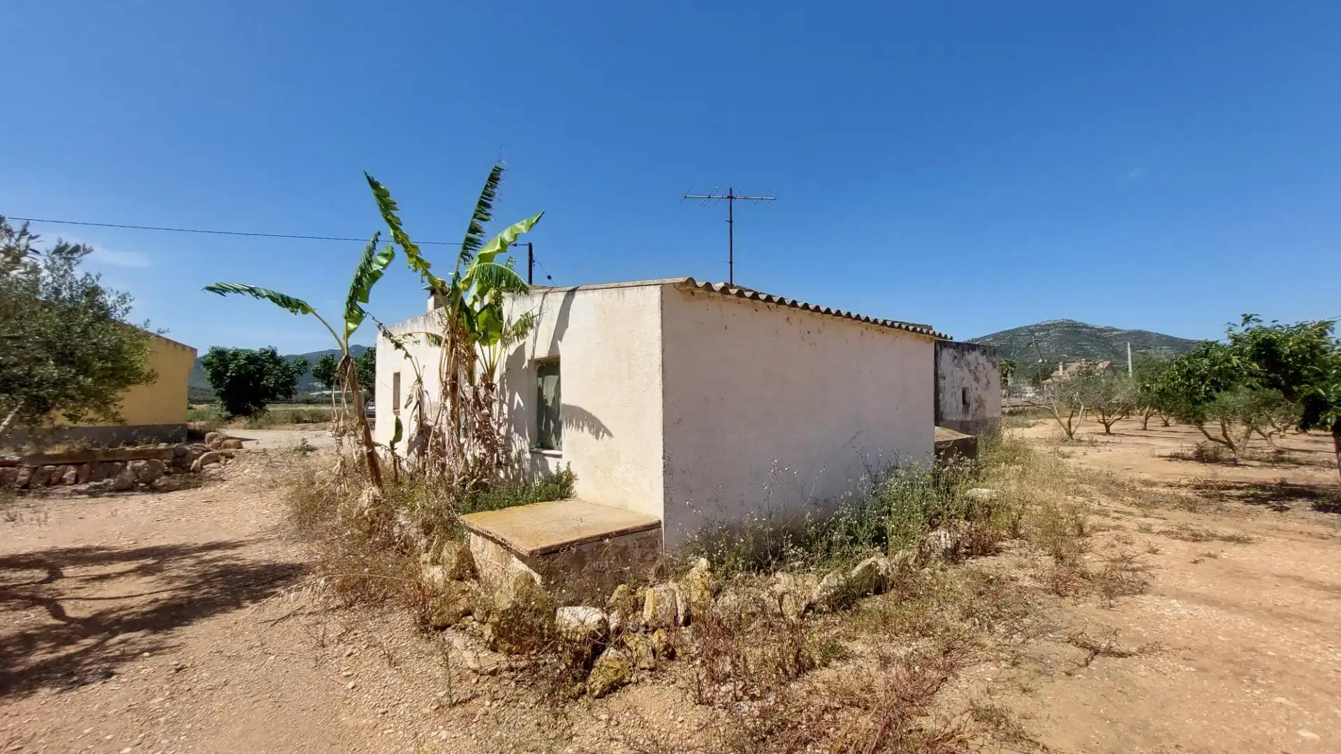 Casa rustica in vendita a Eucaliptus- Poble Nou del Delta, imagen 22