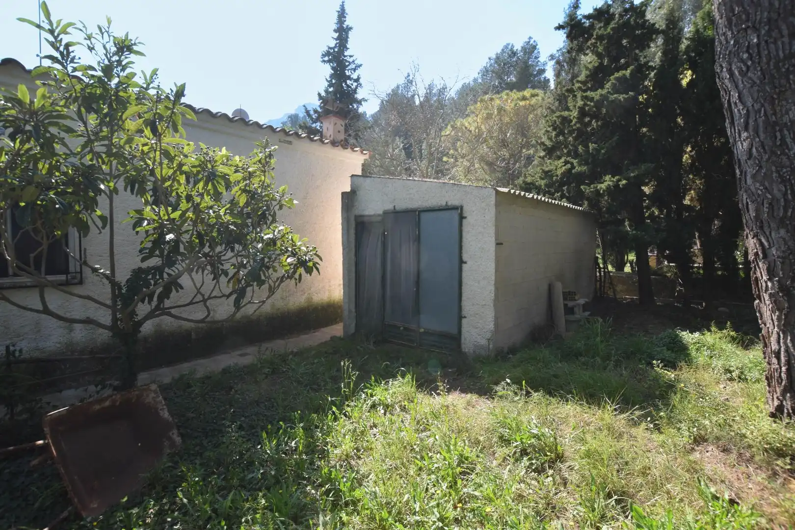 Jardí de Casa o xalet en venda en Alfara de Carles amb Terrassa, Traster i Piscina