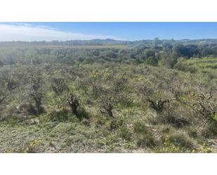 Residencial en venda en El Pla del Penedès