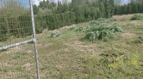 SE VENDE PARCELA EN SAN BARTOLOME, immagine 3