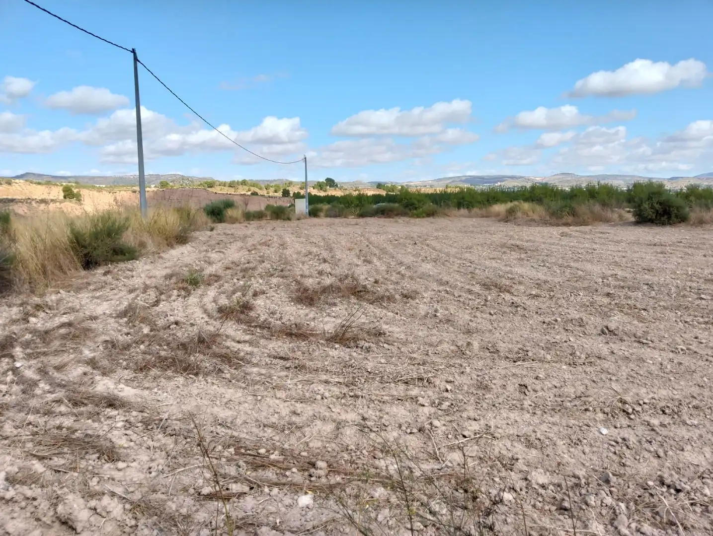Lands and plots for sale in Mula, imagen 6