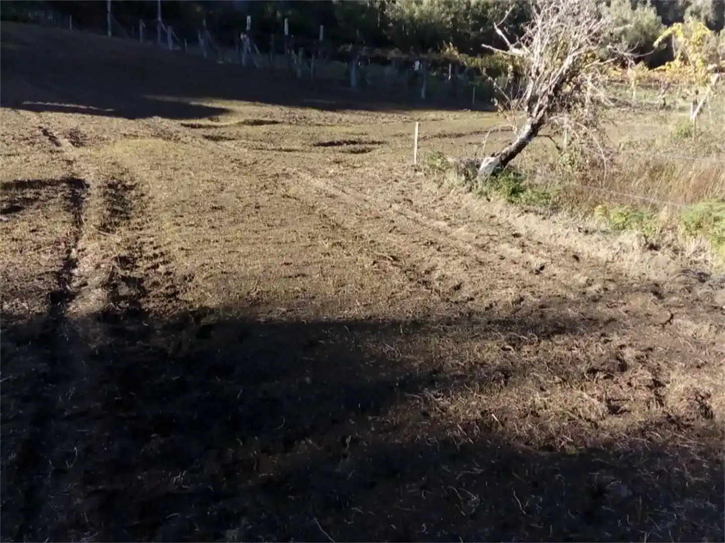 Finca rústica en venta en Cuntis