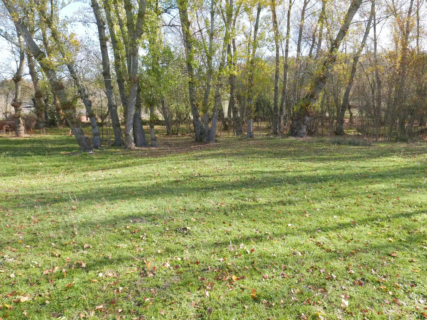 Land for sale in Santo Tomé del Puerto