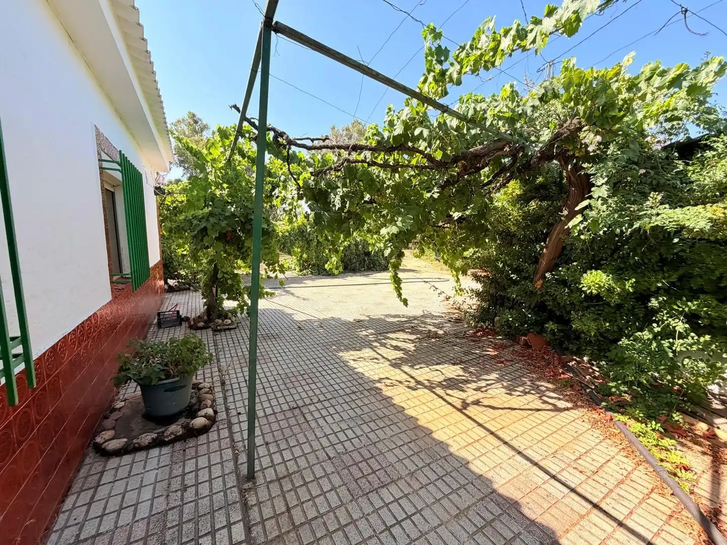 Vista exterior de Casa o chalet en venta en Valverde de Mérida con Jardín privado, Terraza y Trastero