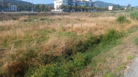 Terrenos en tordera, imatge 2