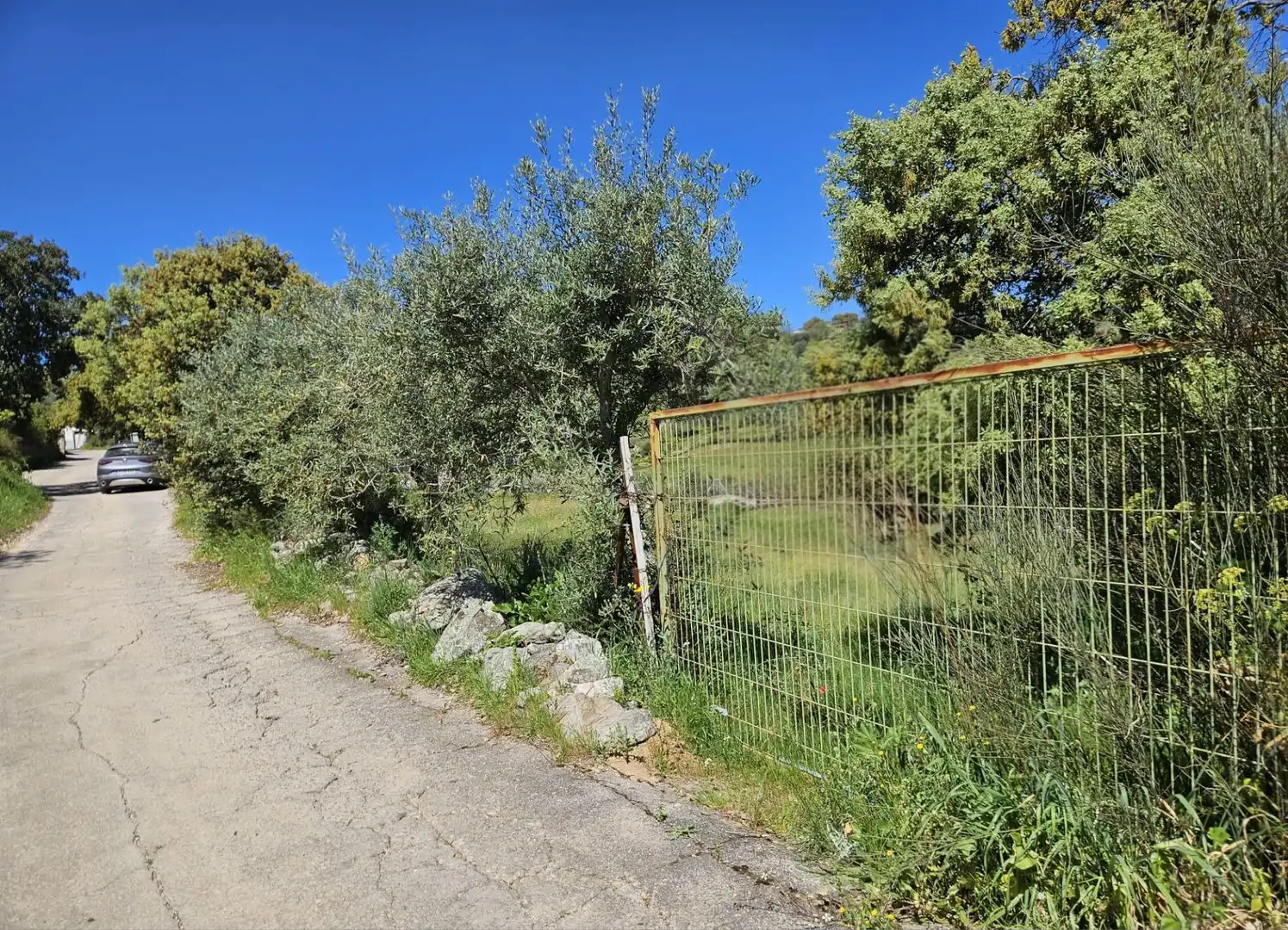 Terreno rústico en venta en Sierra de Fuentes, imagen 4