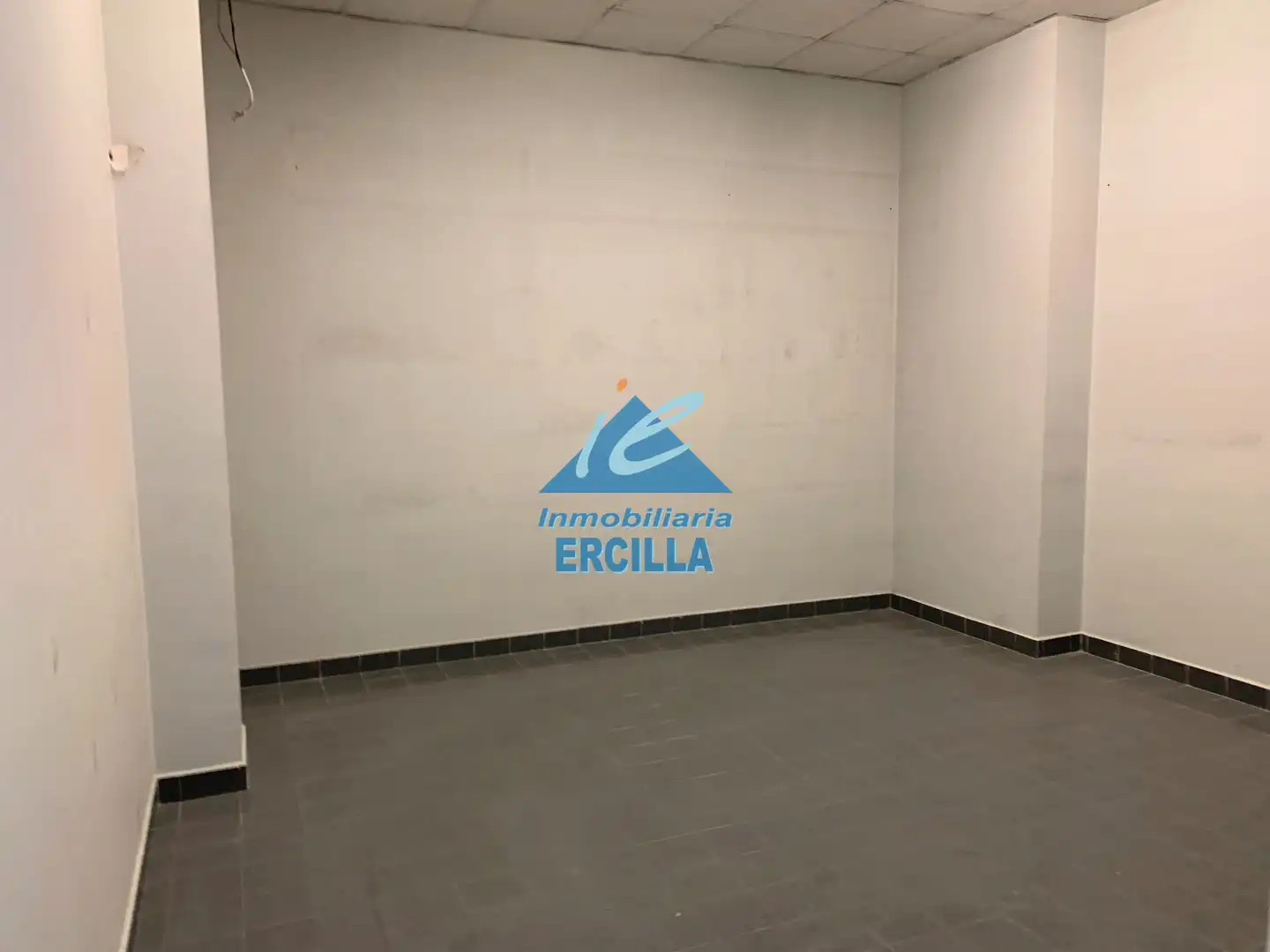 Gewerbefläche zum Verkauf in Severo Ochoa Kalea 51, imagen 3