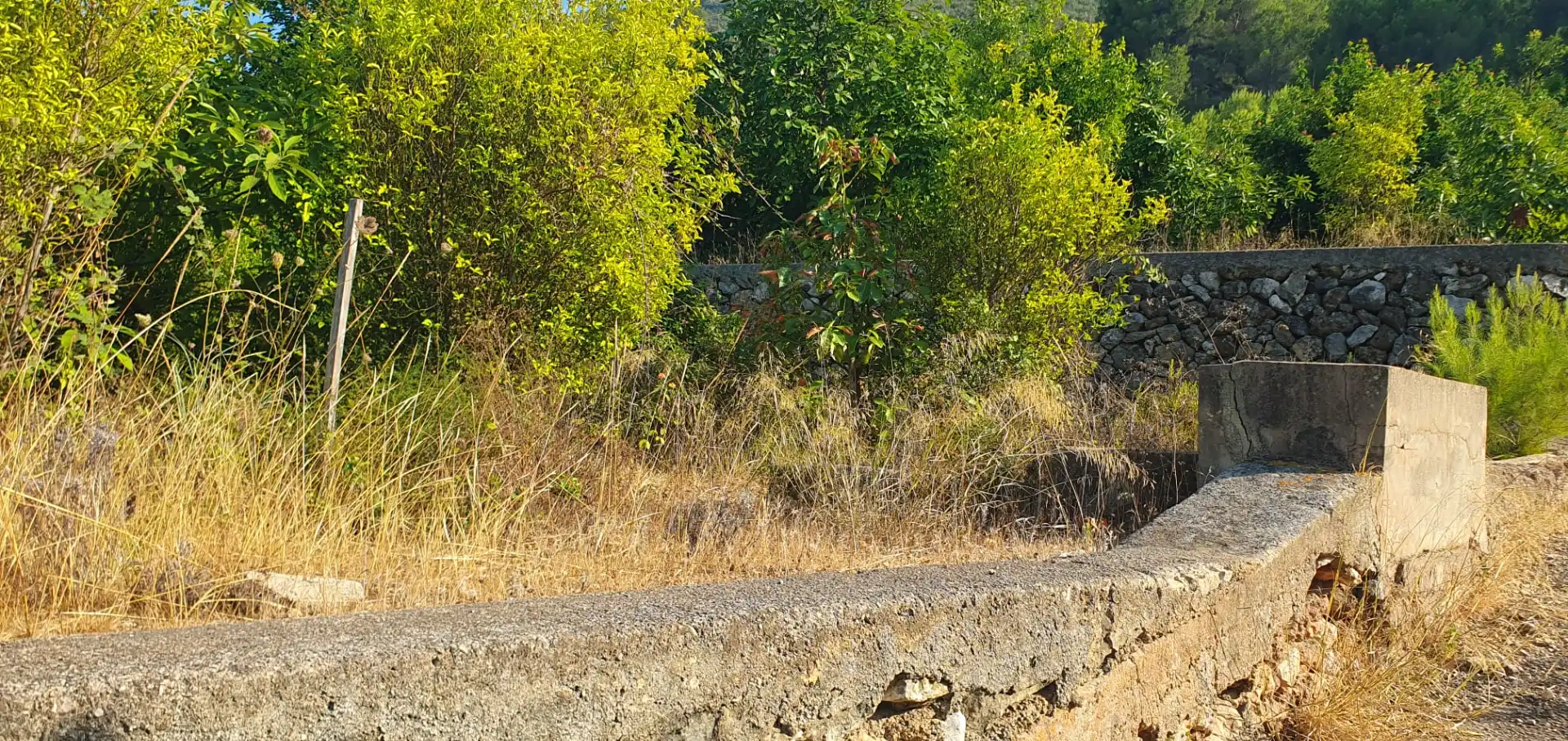 Terrain rustique à vendre à Diseminado Casa Canet, imagen 2