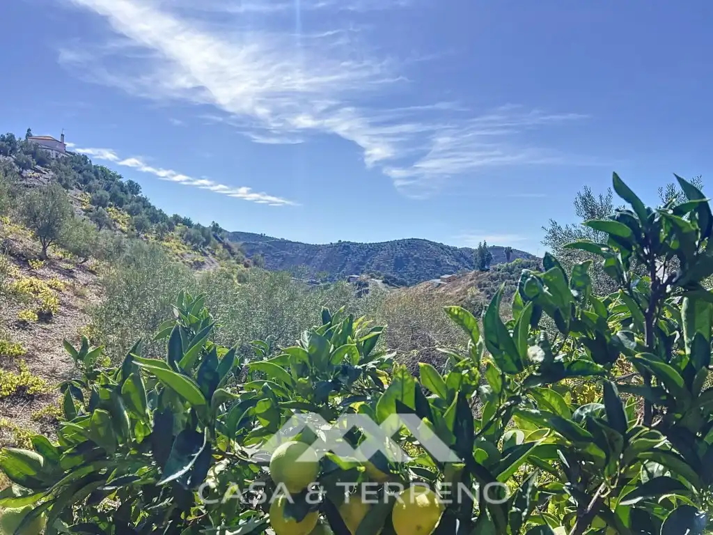 Houses for sale in Camino de Cuesta Bravo, Sedella