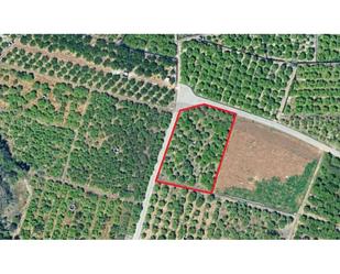 Land for sale in Beniarjó