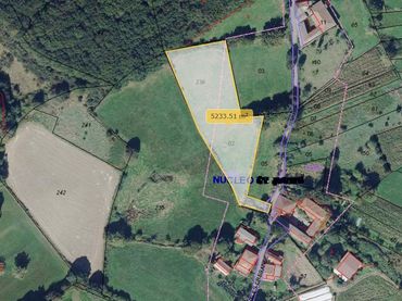 Terrenos y solares en venta en Lalín
