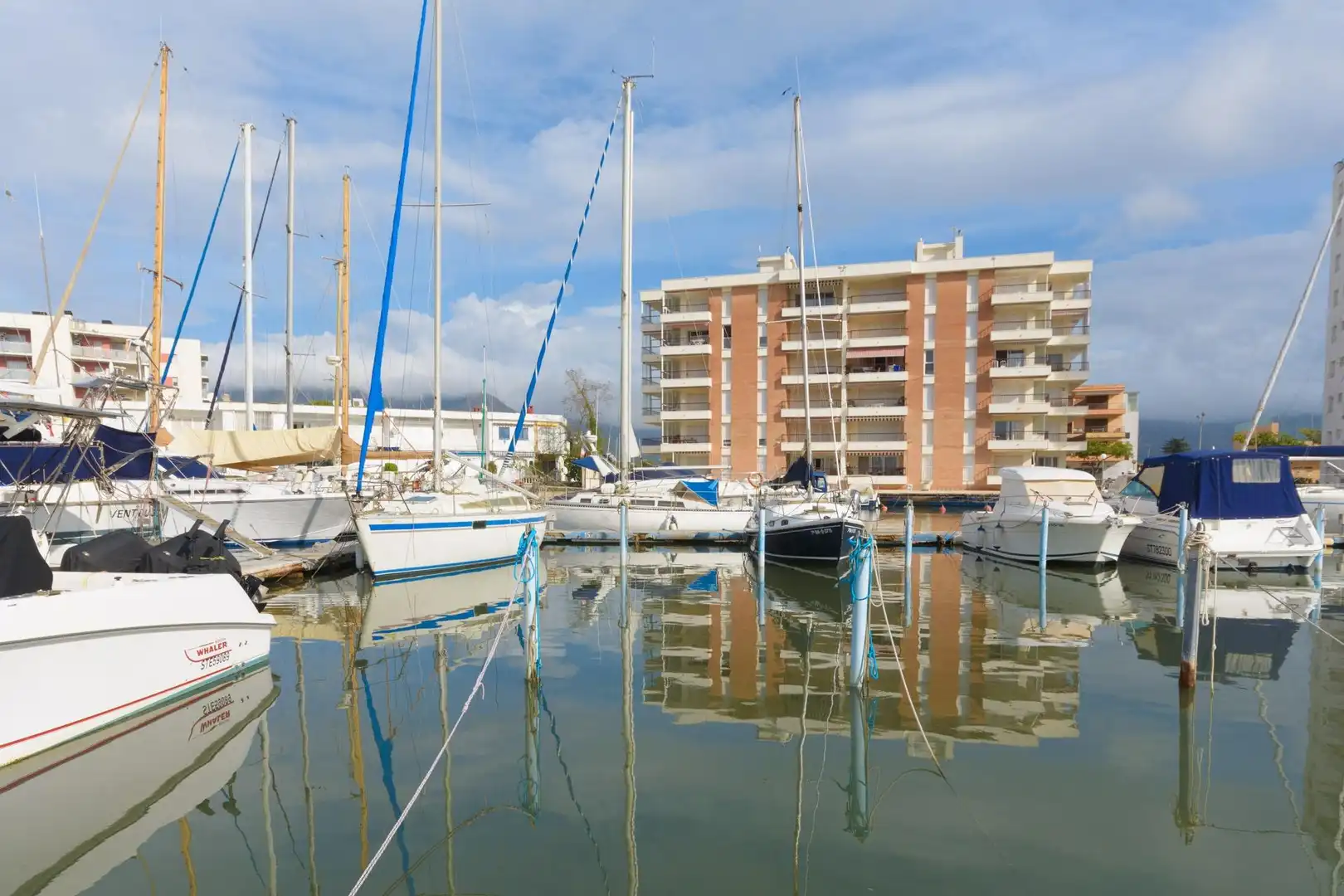 Business premises to rent in Santa Margarita, imagen 3