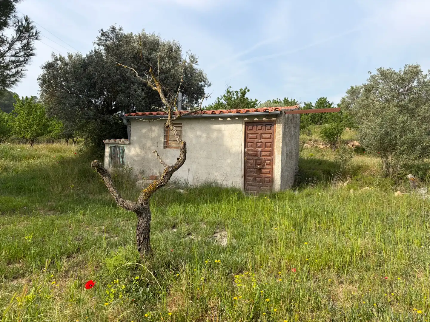 Terreno rustico in vendita a Ascó, imagen 13