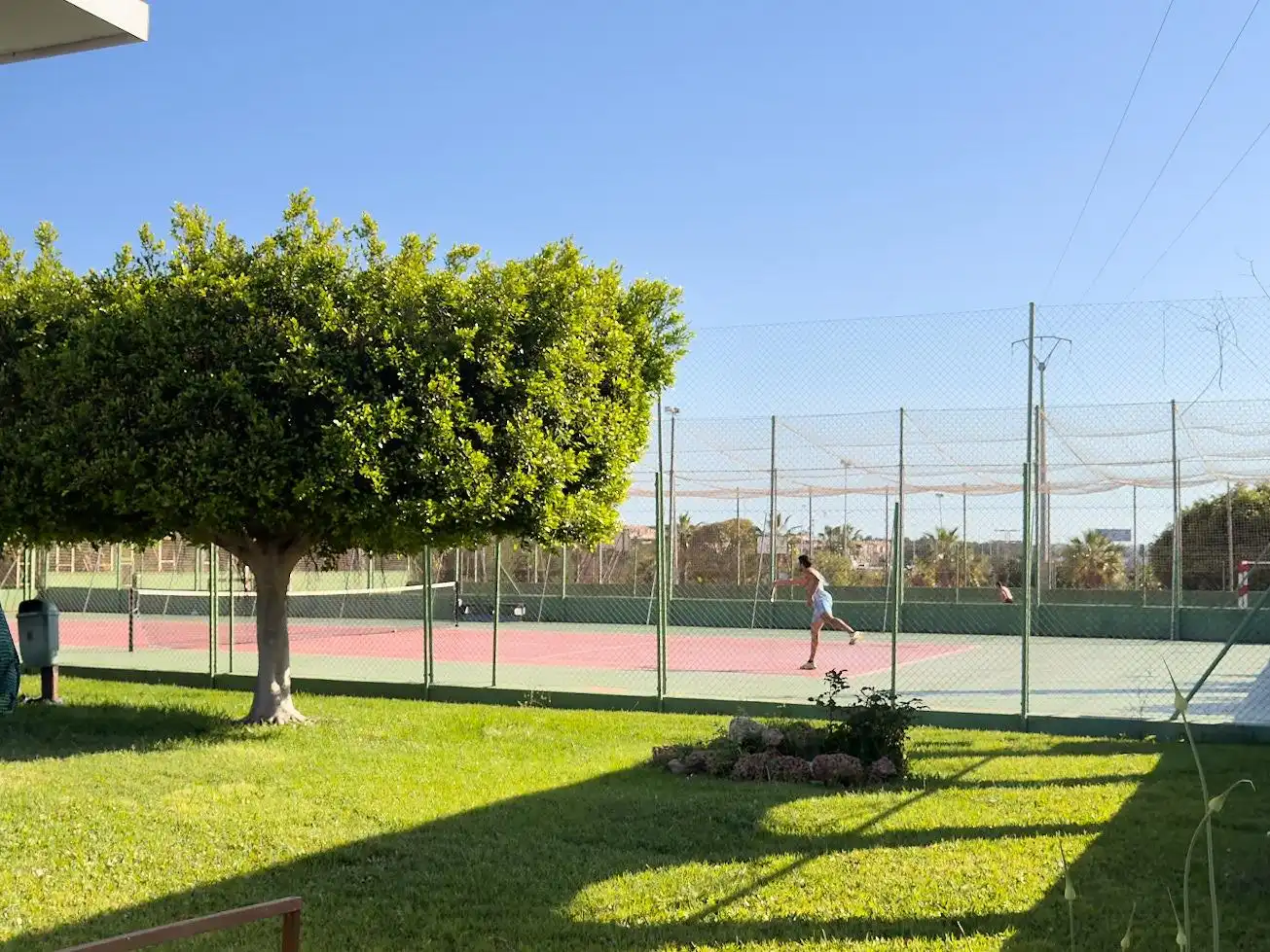 Garden of Houses for sale in Torrevieja  with Terrace, Furnished and Community pool