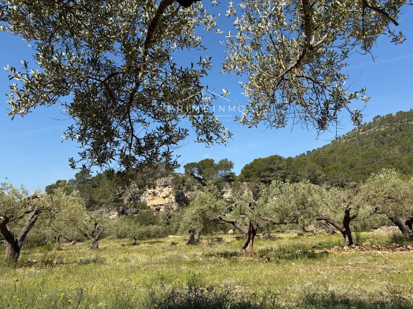 Terreno rústico en venta en L'Ametlla de Mar pueblo, imagen 8
