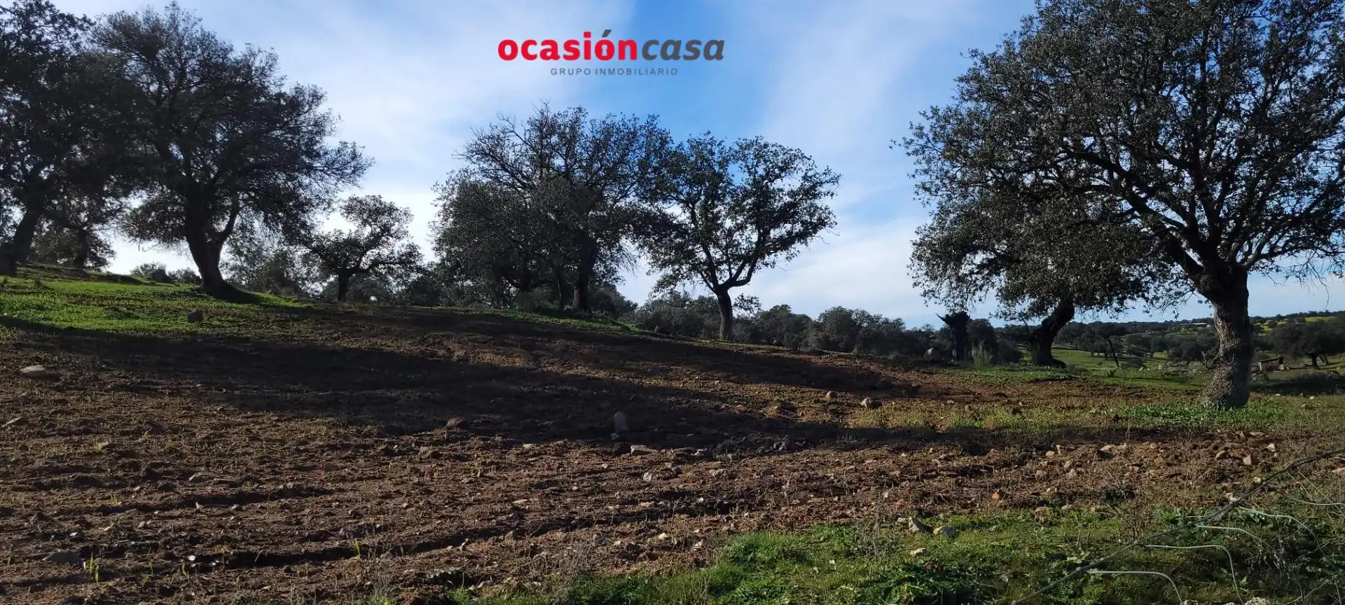 Country house zum Verkauf in Pedroche