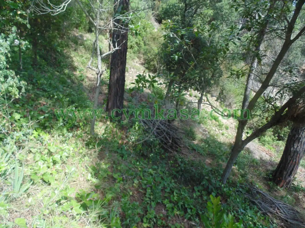 Rustikales Grundstück zum Verkauf in Serra Brava, imagen 6