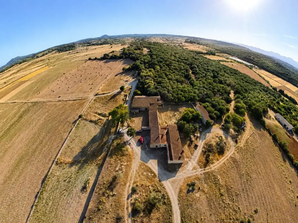 Vista exterior de Casa o chalet en venta en Ariany con Jardín privado y Terraza