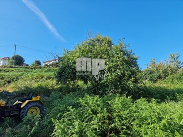 Terreny residencial en venda a Camiño de Reboreda