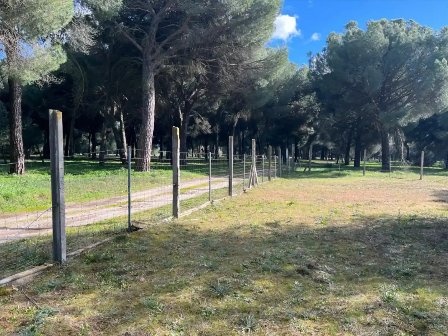 Finca rústica en venta en Alcazarén, Valladolid