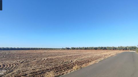 Se vende parcela rustica de 13.800 m2, a pie de carretera., immagine 5