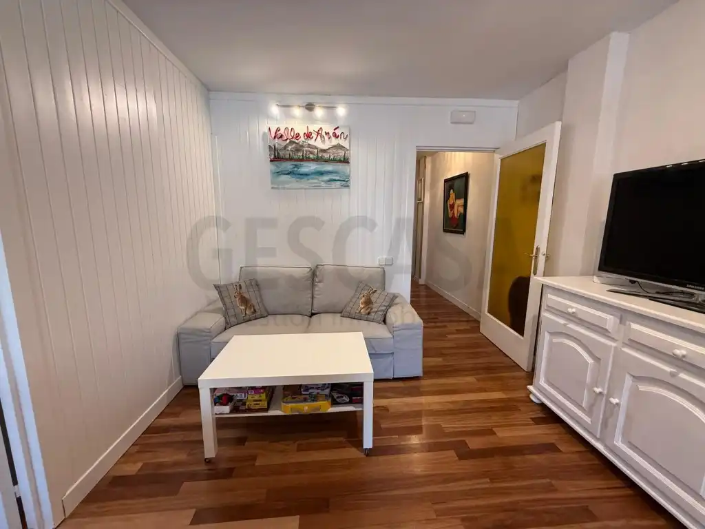 Sala d'estar de Apartament de lloguer en Vielha e Mijaran