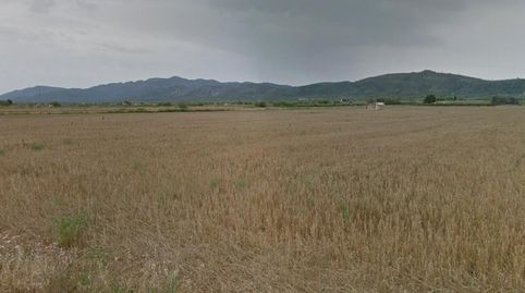 Terreno rustico de regadío de 35.548m con casa de campo para reformar de 25m en Partida Les Bassoles de Ulldecona Tarragona., immagine 3