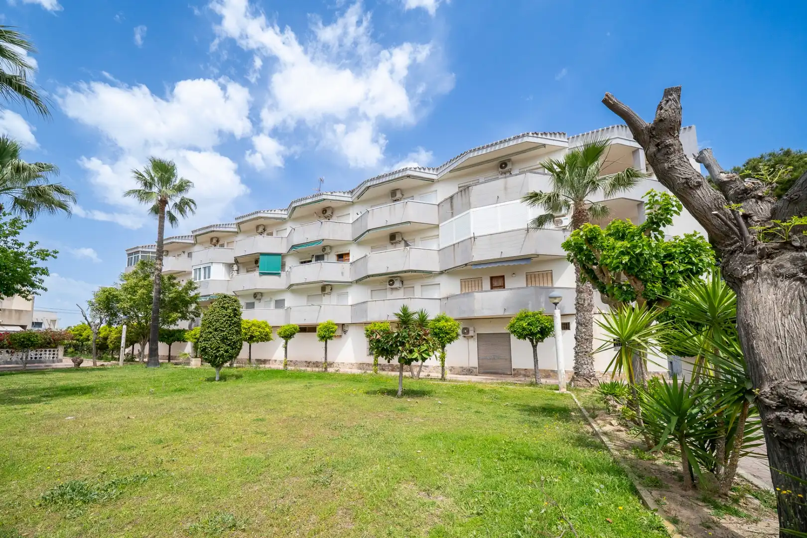 Vista exterior de Apartamento en venta en Orihuela con Aire acondicionado, Amueblado y Horno