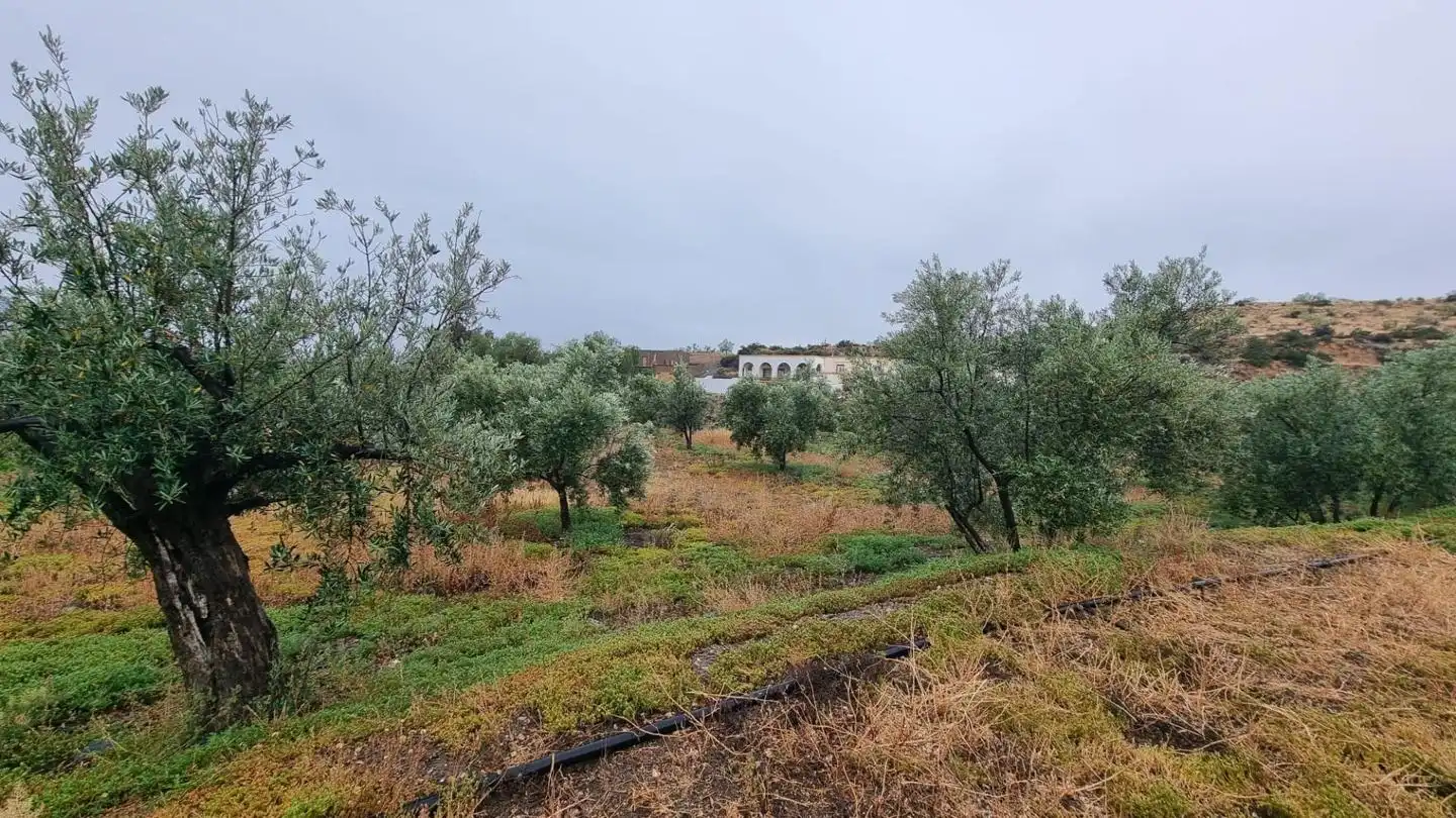 Country house with garden for sale in PARAJE PAGO DE OSCAYAR, imagen 24