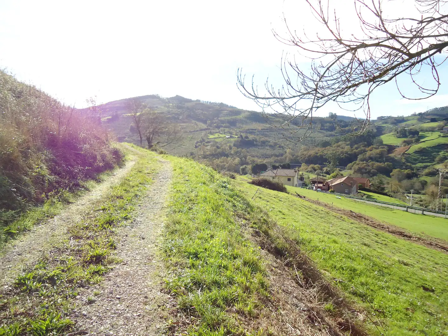 Wohnbaugrundstück zum Verkauf in LL-9, imagen 13