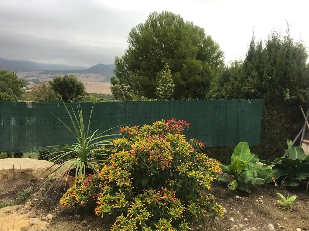 Chalet con piscina en venta en Calle Dehesa de la Peña, imagen 11