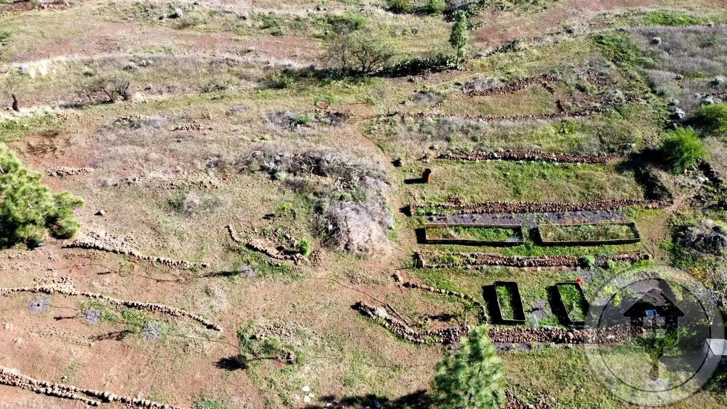 Finca rústica en venda en Vilaflor de Chasna