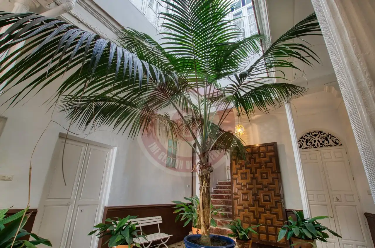 Casa o xalet en venda en Vélez-Málaga amb Jardí privat i Piscina