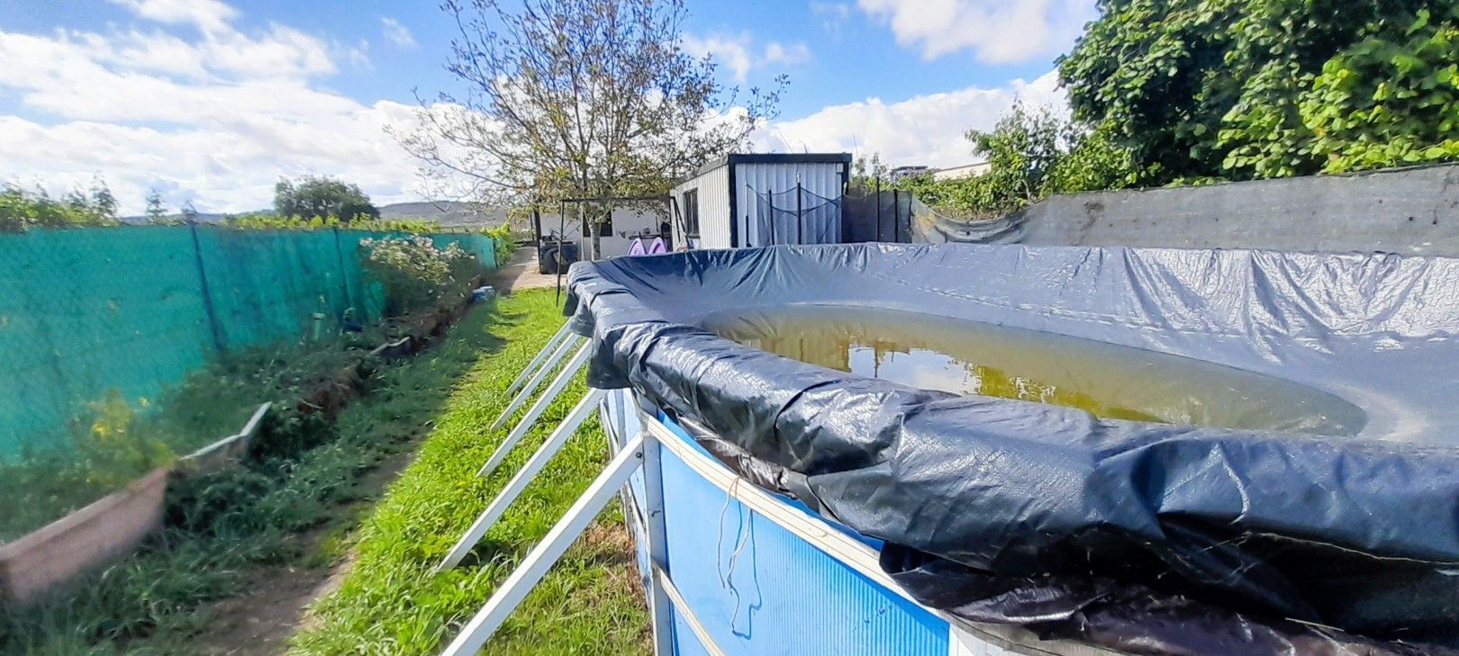 Swimming pool of House or chalet for sale in  Logroño  with Storage room