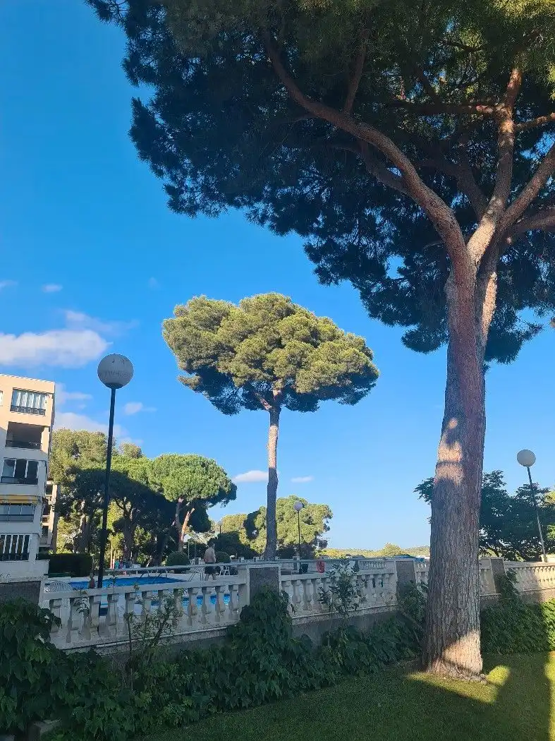 Apartment with pool for sale in Mar i Camp - Platja dels Capellans, imagen 96