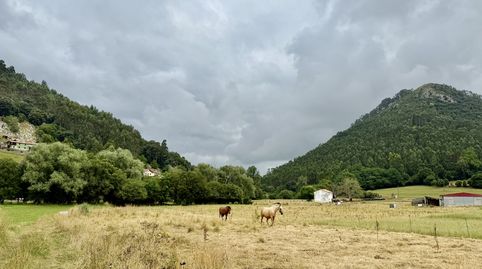 Foto 4 de Terreny en venda a Sobremazas - Barrio Rioz, Anaz - Sobremazas - San Vitores, Medio Cudeyo