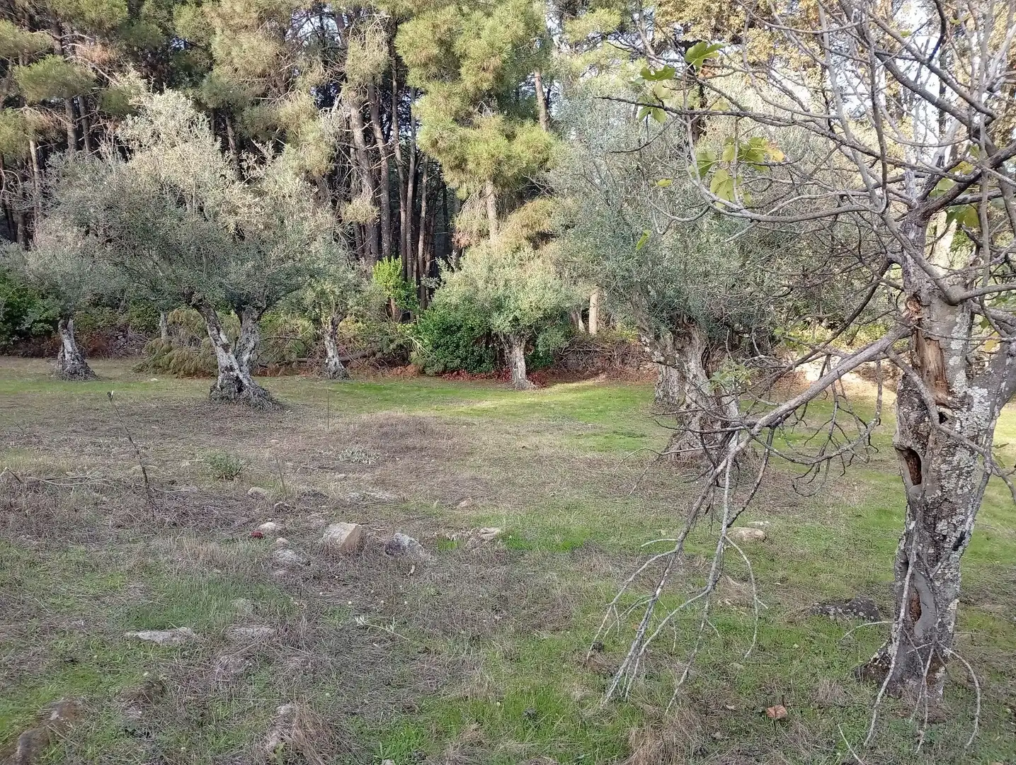 Terreni e lotti in vendita a Villanueva de la Vera, imagen 18