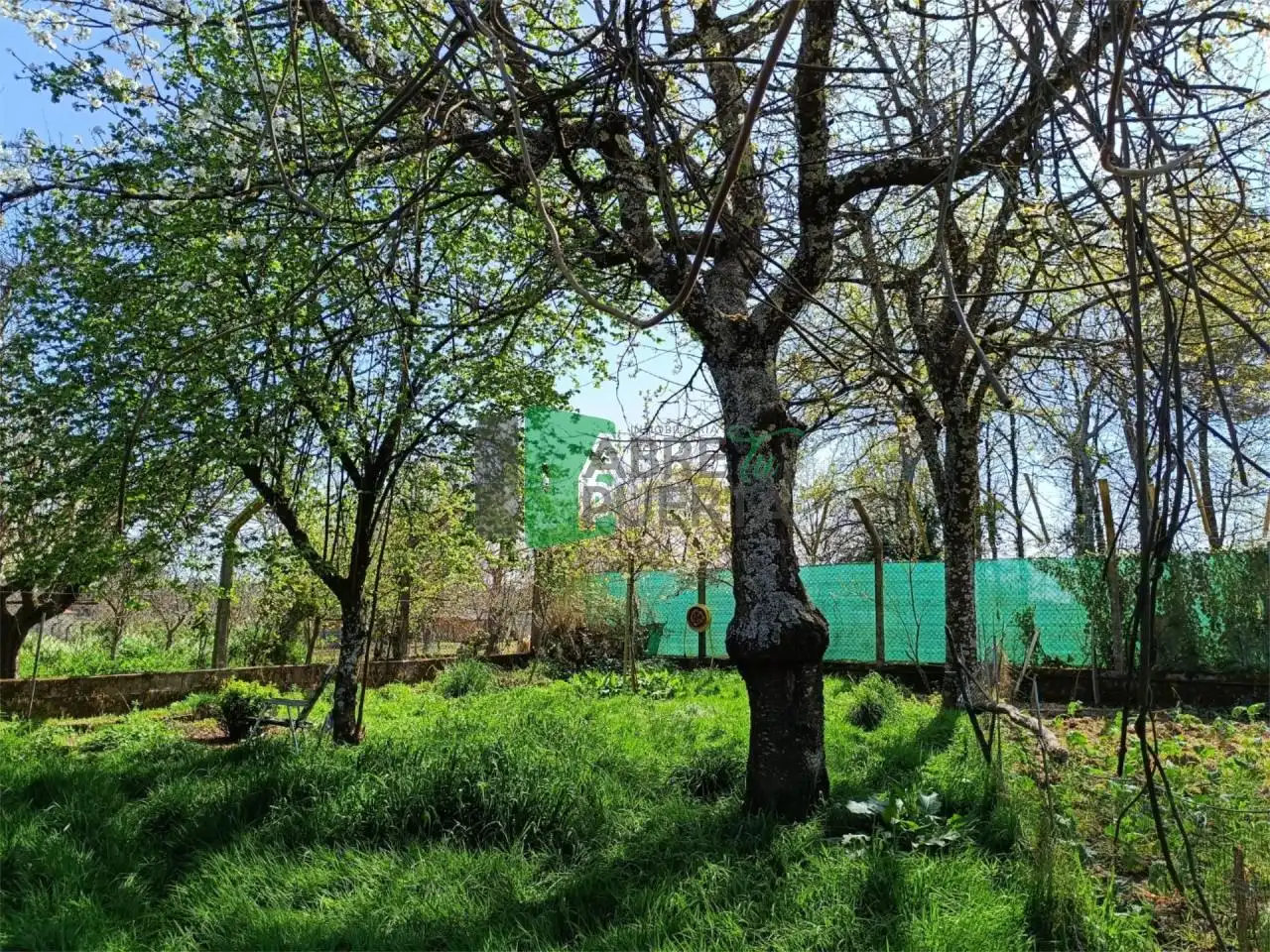 Xalet amb jardí en venda a O Carballiño, imagen 9