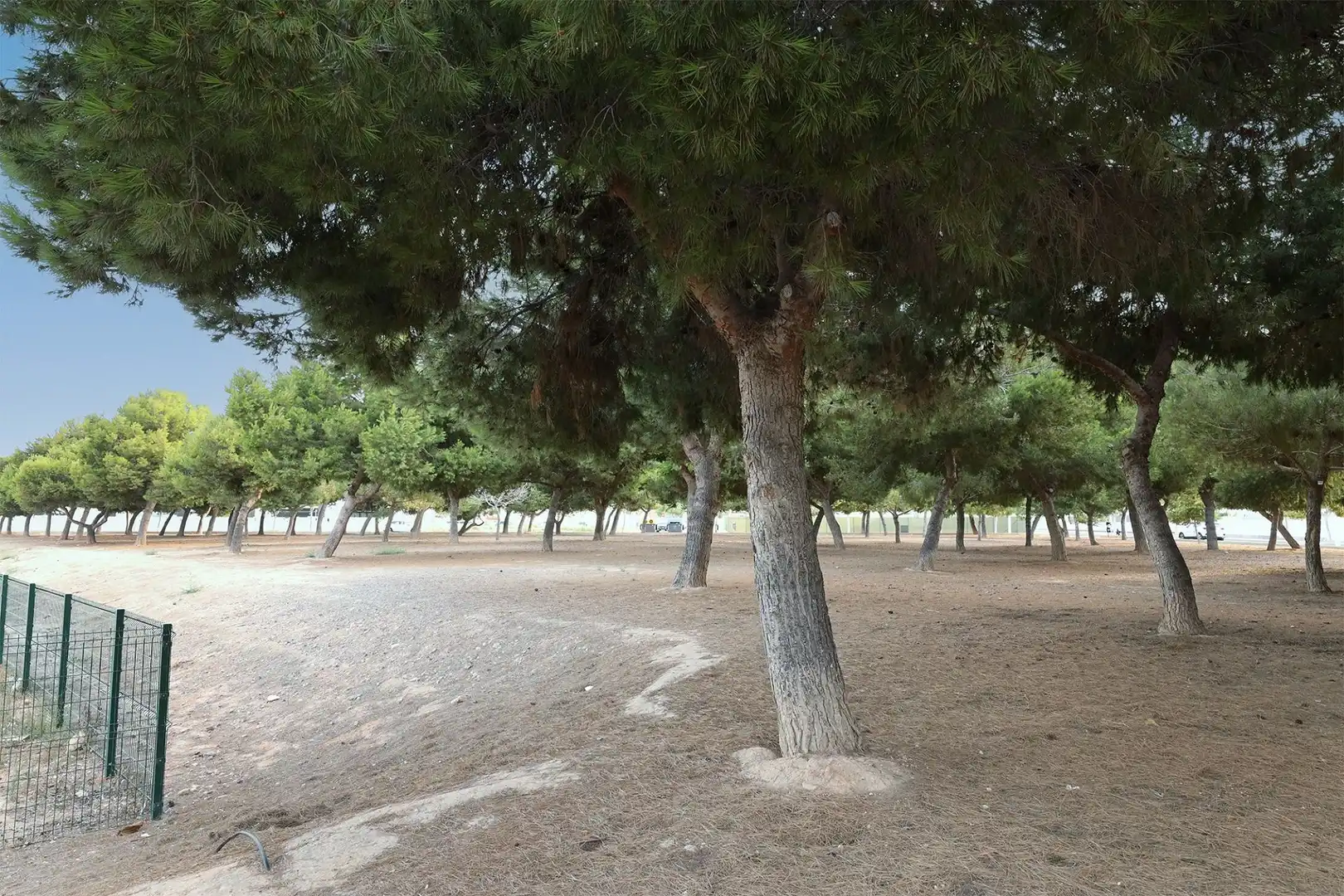 Casa en venda a Los Peñascos - El Salero - Los Imbernones, imagen 40