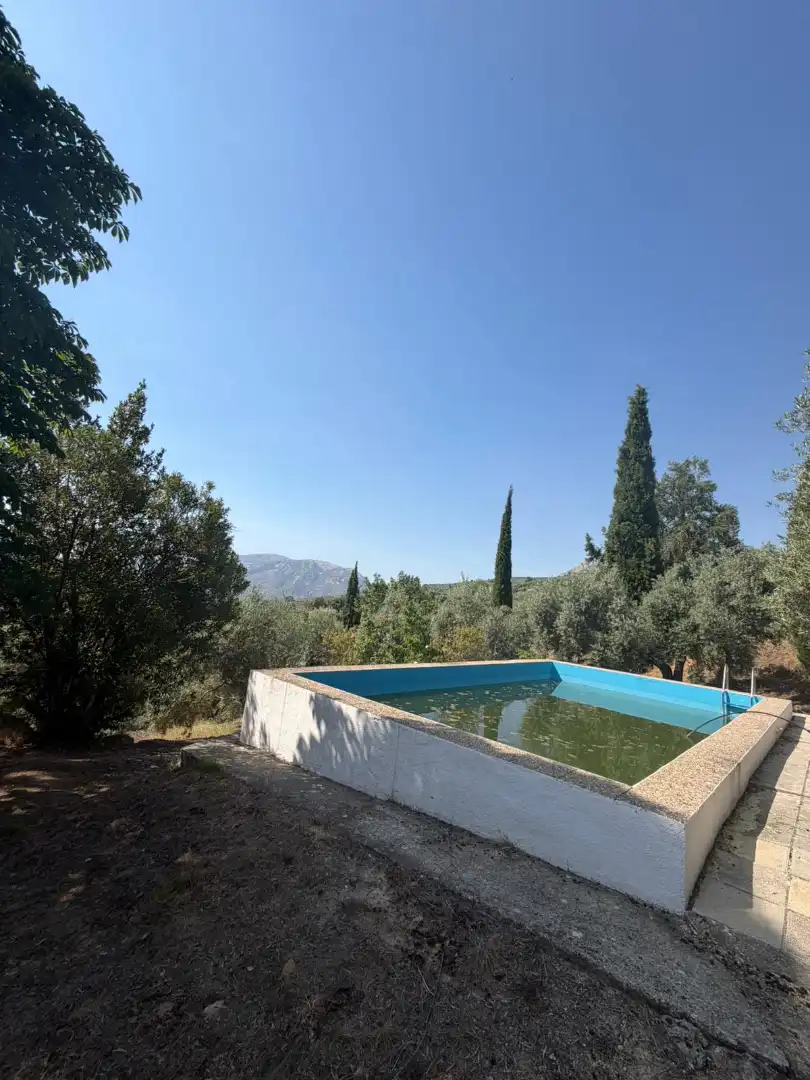 Piscina de Finca rústica en venta en Los Villares con Terraza, Trastero y Piscina